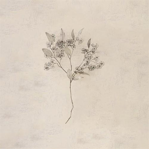 Seeded Eucalyptus-Antique Nickel-Small wall décor(أوكالبتوس - نيكل عتيق - ديكور جداري صغير)