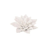 Succulent-Bisque White-Medium decorative accessory (تحفة الزهرة من الخزف - بيضاء - متوسطة)